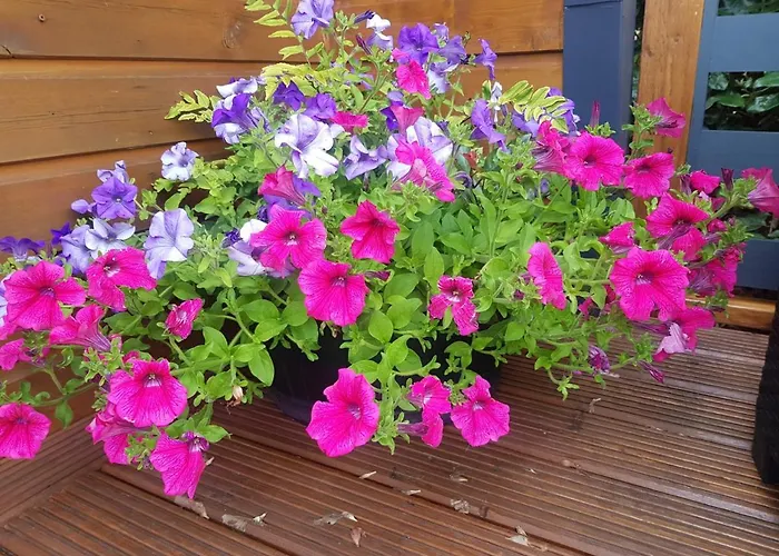 Guest house Glamorous Glamping 3*